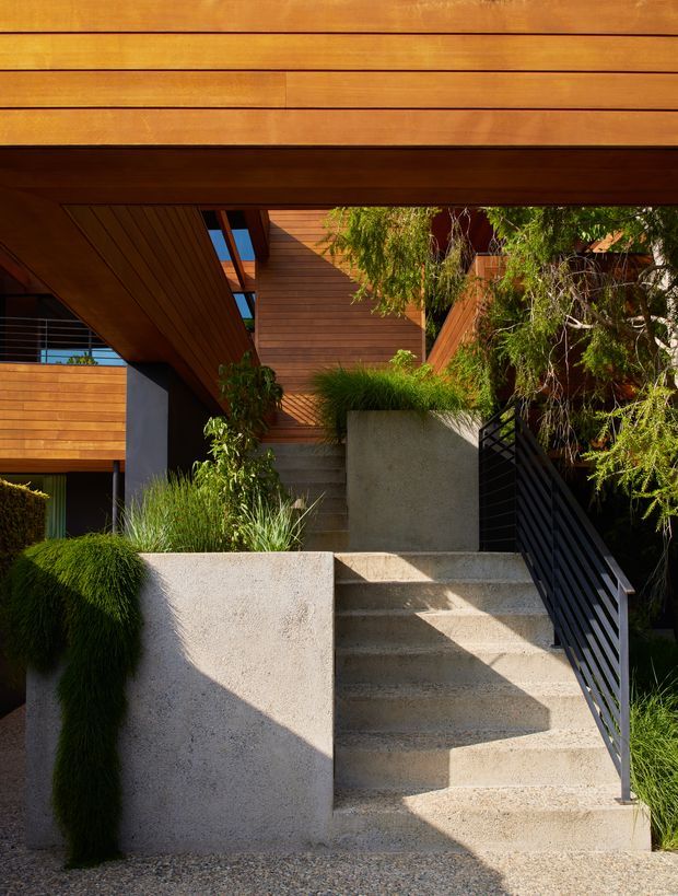 A landscaped exterior entry with broad concrete steps, dark metal handrails, textured rendered walls, and warm timber-clad architectural volumes. Dense ornamental planting softens the contemporary structure, while deep roof overhangs and timber soffits create strong layered shadows and a sheltered approach.