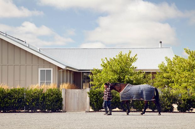 A single-storey rural-looking building with a long pitched corrugated metal roof, pale vertical-panel exterior walls, simple windows, and a fenced landscaped frontage. A person leads a covered horse along the gravel foreground. The image has a bright, relaxed countryside character.