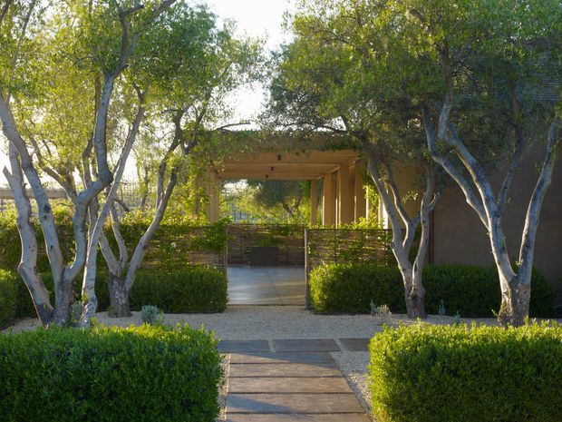 A landscaped approach leads through clipped hedges and pale-barked trees to a sheltered contemporary entry pavilion. The garden path uses large rectangular stone or concrete stepping slabs with gravel joints, while the pavilion features warm timber-toned posts, a flat roof, and horizontal screening. The scene is calm and secluded, with dense mature planting framing the entrance.