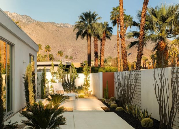 A sunlit modern desert courtyard or outdoor walkway beside a white rendered building. Smooth pale paving leads through a landscaped garden with tall palms, agaves, cacti, succulents, and sculptural dry-climate planting, enclosed by a white and terracotta privacy wall. Rugged mountains rise in the background, creating a strong desert resort atmosphere.