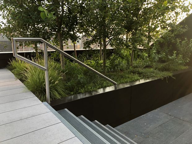A landscaped contemporary outdoor walkway with broad pale paving, a stainless-steel handrail, and steps descending beside a raised black planter. Dense ornamental grasses, shrubs, and small trees soften the geometric hardscape, creating a refined garden access area.