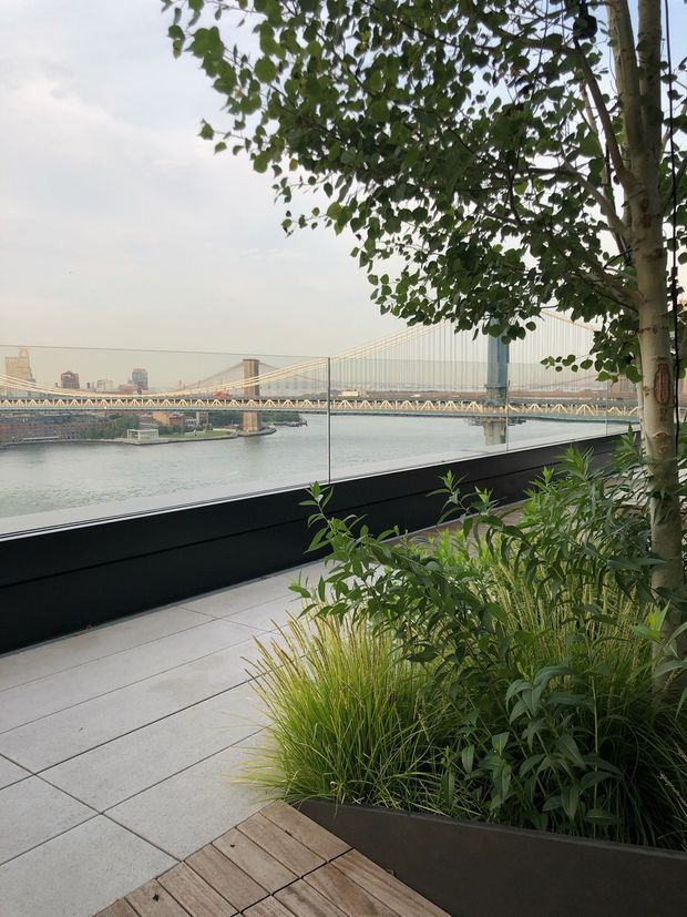 A landscaped waterfront terrace overlooking a broad river and a large suspension bridge. The terrace has pale rectangular paving, a timber deck section, a dark raised planter or balustrade edge, and dense ornamental grasses and leafy planting, with a mature tree framing the right side. The scene is an exterior urban riverside outlook in a contemporary setting.