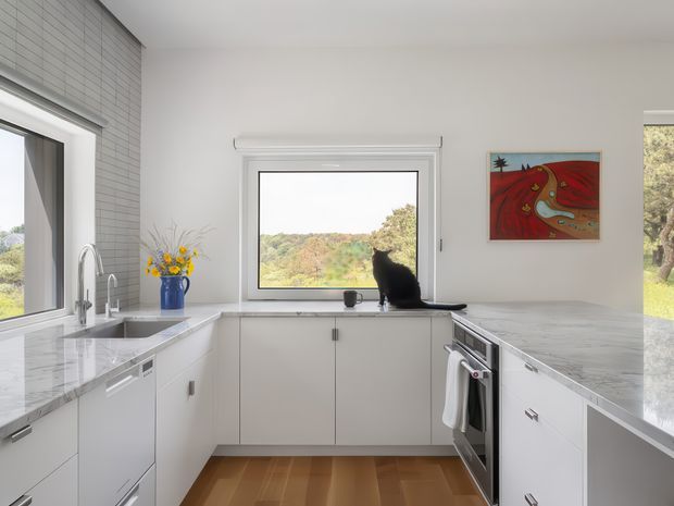 Bright contemporary kitchen with a U-shaped layout, white flat-panel cabinetry, pale marble-look benchtops, a stainless-steel sink and tap, integrated dishwasher, and stainless-steel oven. Large windows provide expansive views of greenery, while a black cat sits on the rear counter. The space has a clean, light-filled appearance with timber flooring and a colourful wall artwork.