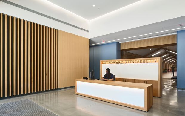 Contemporary university reception lobby with a large timber reception desk, illuminated white front panel, timber slatted feature wall, blue wall panels, polished concrete flooring, and a corridor extending behind the desk. Recessed linear lighting and concealed cove lighting create a bright, refined institutional interior.