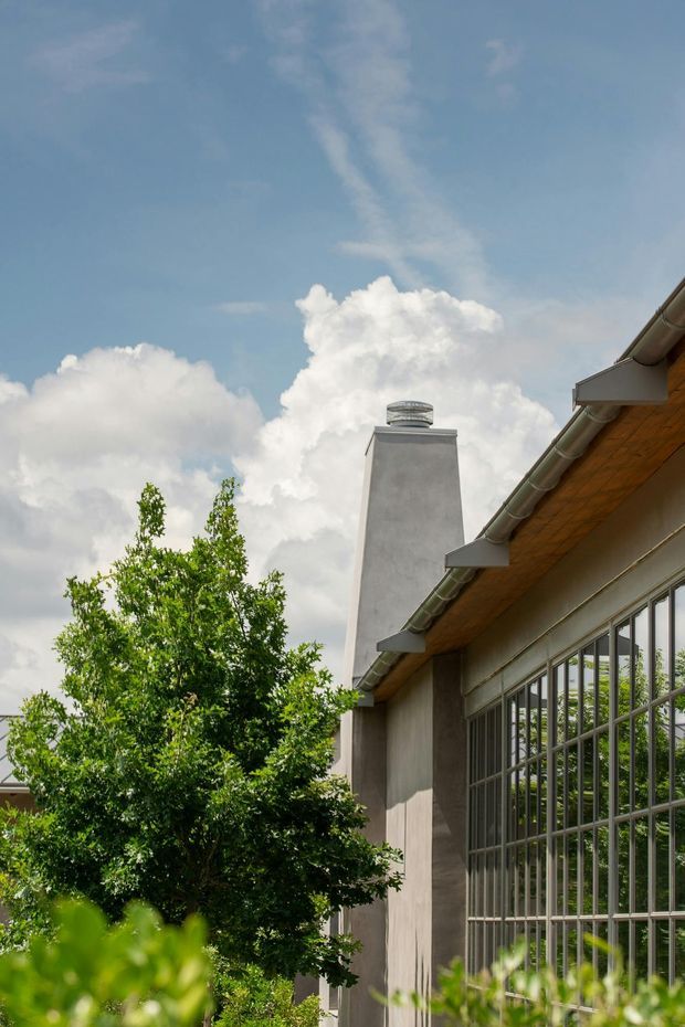 Upward-looking exterior detail of a refined contemporary building, showing a tall rendered chimney, pitched roof edge with exposed timber soffit, metal guttering, and large steel-framed glazed openings. Lush garden foliage partially screens the facade beneath a bright blue sky.