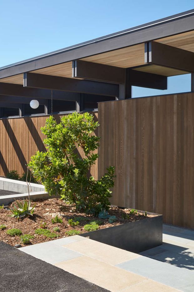 Exterior view of a contemporary low-profile building with strong dark horizontal beams, warm timber soffits, and tall timber privacy fencing. A landscaped raised garden bed with shrubs and succulents borders a light-paved entrance walkway, with a clear blue sky above.