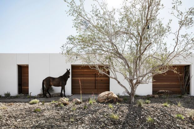 Single-storey contemporary residence viewed from the front, with a minimalist white rendered facade, broad timber-clad garage doors, a recessed timber entry door, and a sparse xeriscaped rock garden with a mature tree and sculptural boulders. A horse stands near the entry, but is not part of the architectural classification.