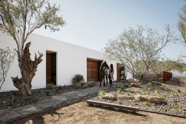 A low, minimalist white single-storey residence set within a dry, rocky landscape. The facade has clean rectilinear walls, a recessed dark entry, warm timber-clad sections, and large openings. Natural stone stepping paths, gravel landscaping, sculptural mature trees, and two horse sculptures contribute to the desert-like setting.
