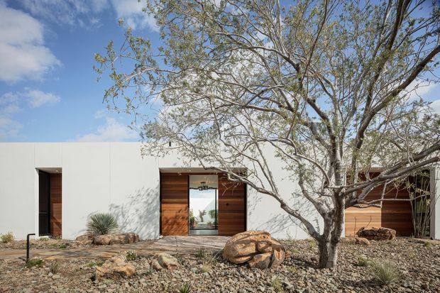 Single-storey contemporary minimalist residence with a clean white rendered facade, recessed entry and large openings framed in warm horizontal timber cladding. The home is set within a dry, rocky landscape featuring native-style grasses, stones and a mature tree, beneath a bright blue sky.