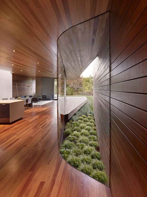 Interior view of a contemporary open-plan kitchen and living area with extensive warm timber lining. A curved floor-to-ceiling glazed opening forms a dramatic edge beside a timber deck and planted exterior courtyard. The room includes a kitchen island, dining area, lounge seating, recessed ceiling lights, and polished timber flooring.