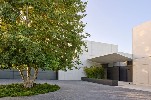 Contemporary minimalist residential facade with smooth pale concrete walls, a broad cantilevered entry canopy, dark timber or metal entrance doors, and a low integrated planter. A mature tree and dense planting soften the geometric architecture, while grey paver surfaces form the approach.