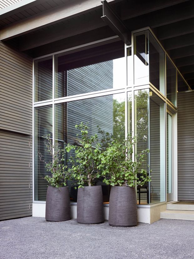 Modern residential entrance facade with extensive floor-to-ceiling glazing, dark horizontal cladding, exposed dark timber roof beams, and a raised entry platform. Large planters sit on a textured grey surface in front of the glazed entry, with interior stairs and greenery visible through the glass.