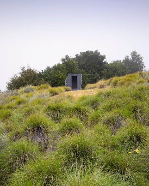 A small dark, roughly rectangular concrete structure or entrance sits on a grassy hillside, partially embedded in the landscape. Tall tussock grasses dominate the foreground, with dense trees behind and an overcast pale sky above. The image emphasizes a discreet architectural intervention within a natural setting.