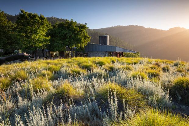 A low-profile contemporary building with a dark corrugated metal roof and cladding sits within a sunlit, grassy rural landscape. Mature trees frame the structure, while rolling forested hills and warm late-day sunlight create a secluded natural setting.