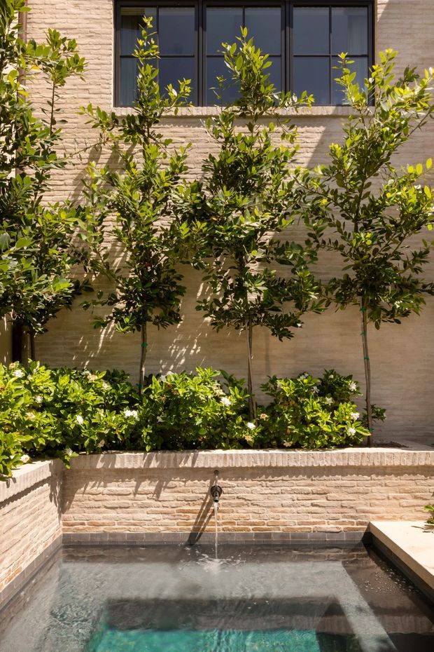 A narrow landscaped courtyard with a shallow rectangular pool or water feature in the foreground. Raised masonry planters contain neatly pruned small trees and dense green shrubs, set against a pale textured brick or stone wall with dark-framed windows. Strong sunlight creates crisp shadows across the planting, wall, and water.