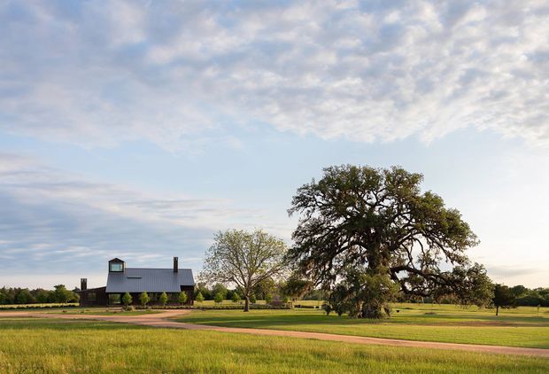 A rural property set in expansive green paddocks, featuring a dark single-storey house with a steep pitched metal roof, chimney, and small dormer window. A large mature spreading tree dominates the foreground, with a gravel or paved driveway and landscaped lawn surrounding the home beneath a broad partly cloudy sky.