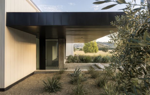 Contemporary single-storey architectural exterior with a pale vertical-panel facade, dark cantilevered roof or canopy, and recessed glazed entry. The sheltered passage frames a landscaped courtyard and rural hillside beyond, with gravel paving, sculptural grasses, and olive-like planting in the foreground.
