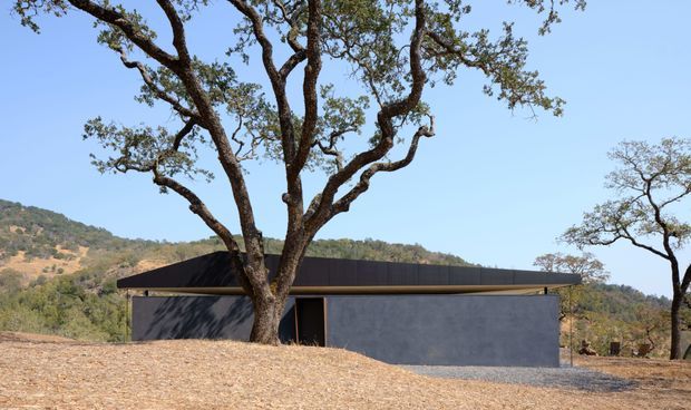 A low, minimalist single-storey building set in a dry, wooded hillside landscape. The dark flat or shallow-pitched roof has broad overhanging eaves, while the facade is composed of smooth dark grey walls and a recessed entry. A large mature tree dominates the foreground and partially screens the building.