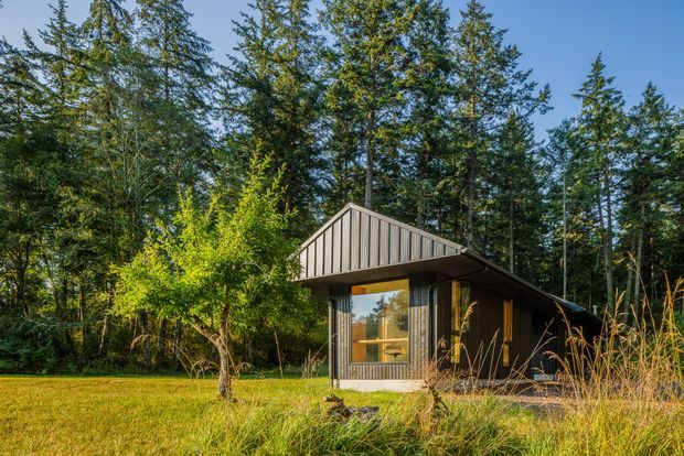 A compact modern cabin set within a wooded landscape, featuring a steep asymmetric gable roof, dark vertical timber cladding, a contrasting light metal gable facade, and large glazed openings. The building is surrounded by mature evergreen trees, long grasses, and a grassy clearing in warm low-angle sunlight.