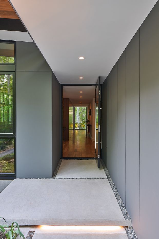 A modern covered entry approach leading through a glazed doorway into a long interior hallway. The entry features smooth grey wall panels, a white angled ceiling with recessed downlights, pale concrete steps and landing, narrow gravel drainage strips, and integrated linear step lighting. Dark-framed floor-to-ceiling glazing on the left reveals a leafy wooded setting, while the interior beyond has warm timber flooring and continued recessed lighting.