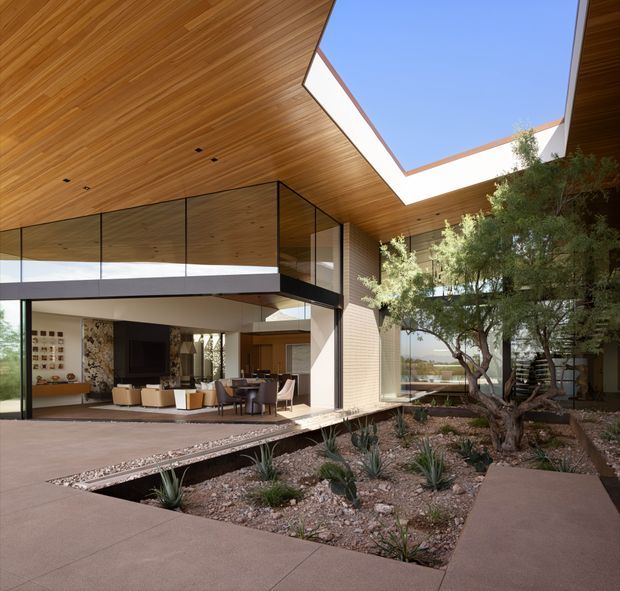 A contemporary courtyard-facing house with a dramatic timber-lined cantilevered roof and covered outdoor terrace. Full-height glazing and black-framed glass balustrades open onto a landscaped courtyard with a mature sculptural tree and drought-tolerant planting. The open-plan living and dining area is visible through the glazing, with warm timber finishes and neutral furnishings. A large roof opening brings direct daylight into the courtyard and interior.