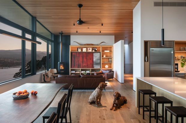 Open-plan contemporary interior combining a dining area, living room, and kitchen. The space features floor-to-ceiling glazing with a broad landscape view, warm timber-lined ceiling, timber flooring, dark-framed windows, a kitchen island with seating, built-in living-room shelving and media joinery, and a leather sofa. Two dogs are present in the room.