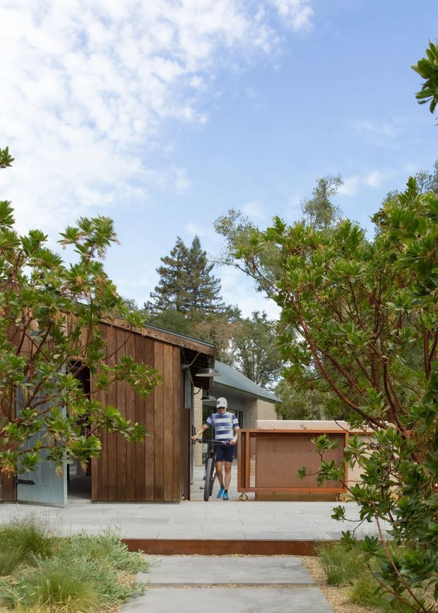 A landscaped exterior view of a contemporary residential building, framed by dense coastal-style planting. The composition shows a timber-clad pavilion or entry structure, a pale rendered or metal-clad building behind it, concrete paving and steps, and a timber-framed perforated screen or gate. A person is walking through the entry area, while trees and shrubs surround the architecture under a bright blue sky.