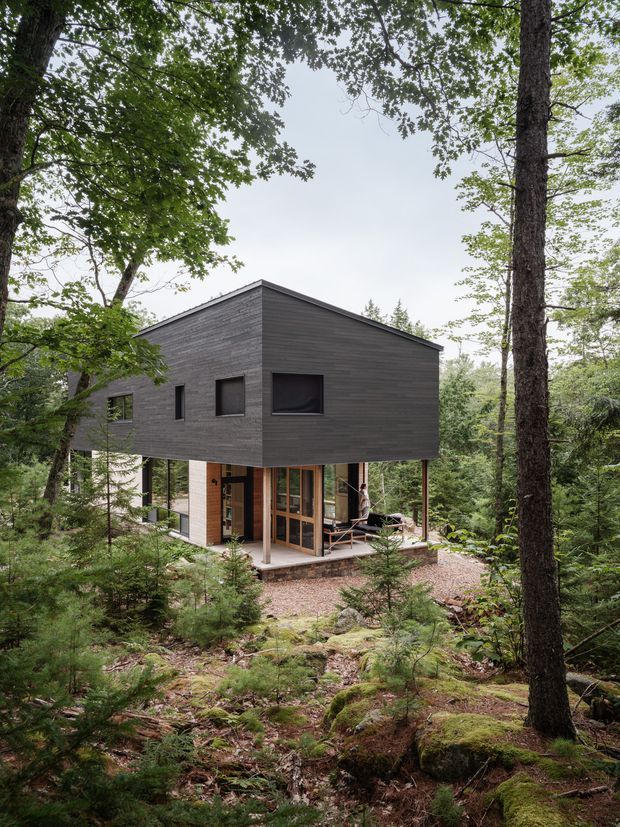 Exterior view of a compact contemporary forest dwelling elevated on slender supports among mature trees. The upper volume is clad in dark horizontal timber boards with a simple asymmetrical pitched roof and small dark-framed windows. Floor-to-ceiling glazing and warm timber elements open onto a sheltered lower-level terrace, while the natural rocky, moss-covered woodland setting surrounds the house.