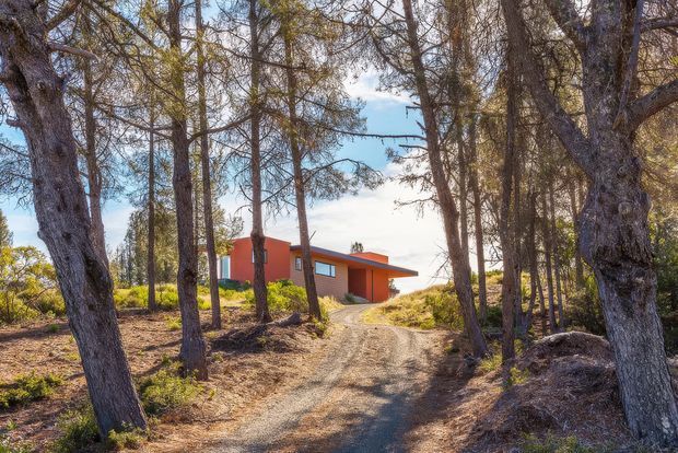 A low, modern red-orange house with a projecting flat roof is partially visible through a dense stand of tall trees. A rough gravel and dirt path leads uphill through the wooded landscape toward the house, with natural rocky ground and bright daylight creating a secluded forest setting.