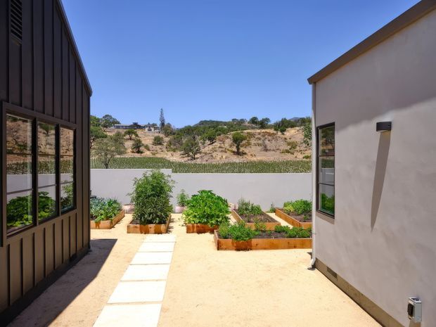 A sunny courtyard garden viewed between two modern buildings. Raised timber planter beds with vegetables and greenery line a pale paved and gravel-like path, while dark vertical cladding and large glazing frame the left side and a smooth light-rendered wall with a narrow window frames the right. A low boundary wall and dry landscaped hillside are visible beyond.