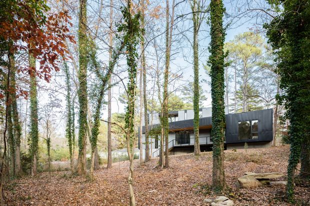 A low, modern residential building is nestled among mature trees in a wooded setting. The exterior features dark vertical cladding, large rectangular windows, and a flat or very low-pitched roof, with the structure partially screened by ivy-covered trunks and woodland vegetation. Fallen leaves cover the ground, creating a natural, secluded atmosphere.