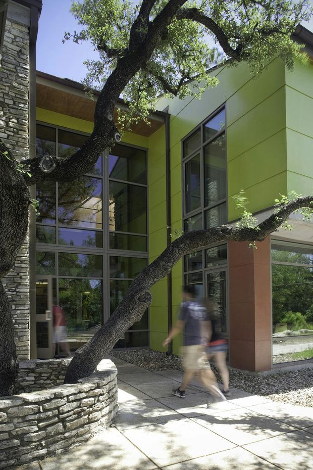 Exterior view of a contemporary multi-storey building entrance framed by mature trees. The facade combines bright lime-green panel cladding, extensive dark-framed floor-to-ceiling glazing, a natural stacked-stone wall and low stone planter, with a sheltered entry walkway and gravel landscaping. Blurred pedestrians are visible near the entrance.