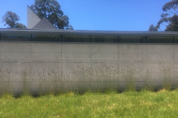 A low, contemporary concrete building exterior with a long horizontal clerestory-style glazing band beneath a flat roof. A sharply angular triangular roof or wall element rises behind the roofline, with mature trees and tall grasses in the surrounding landscape.