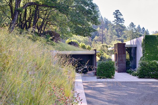 A low, contemporary residence set into a wooded, landscaped site. The view shows a flat-roofed entry structure with a tall dark timber pivot door, pale rendered walls, a green wall or hedge, and an adjacent open carport. Ornamental grasses, mature trees, shrubs, and concrete paving frame the gravel driveway and entry.