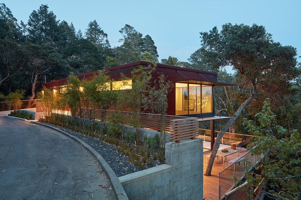 Exterior view of a contemporary single-storey home set among mature trees on a sloping site. The house has a low-pitched dark metal roof, extensive glazing, warm timber decking, horizontal timber screening, and concrete retaining walls, with a driveway curving around the building.