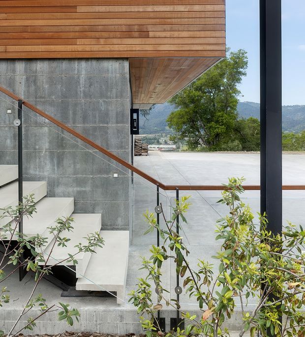 A modern architectural stairway beside a raw concrete wall, with pale concrete steps, slim black metal posts, and clear glass balustrades topped with timber handrails. Warm timber horizontal cladding and a timber-lined soffit form a strong cantilevered roof edge above. Large dark-framed glazing or structural framing opens toward a paved exterior terrace and distant wooded hills, with planted shrubs in the foreground.