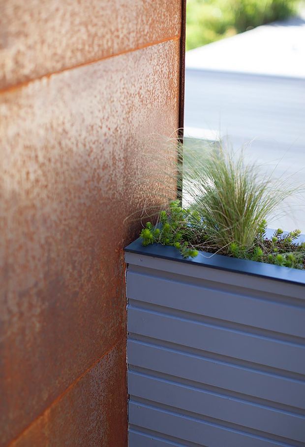 Close-up exterior detail showing a rust-toned textured metal wall panel with visible horizontal joints beside a dark grey ribbed metal planter filled with ornamental grasses and low greenery. A pale paved surface and blurred landscaping are visible in the background.