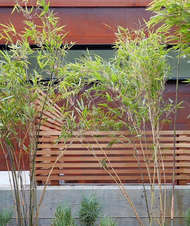 Close-up exterior view of a contemporary building facade screened by tall bamboo planting. The facade combines rust-toned horizontal metal cladding, dark window bands, warm timber horizontal slats, and a raw concrete planter or retaining wall. The image focuses on the layered material textures and integrated landscape screening.