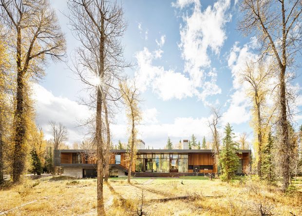 A low, elongated contemporary house set within a mature wooded landscape. The building has a flat roof, extensive floor-to-ceiling glazing, dark timber cladding, and a strong horizontal composition, with a broad lawn and tall deciduous trees surrounding it. Bright daylight and autumn foliage create a warm natural setting.