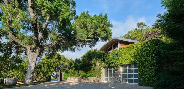 Exterior view of a partially concealed, low-profile house set within dense mature landscaping. The facade features extensive green ivy or climbing vegetation, large grid-patterned glazed garage or entry doors, natural stone retaining walls, a shallow pitched roof, and a gravel or paved forecourt beneath large established trees. Bright, leafy and strongly integrated with the garden setting.