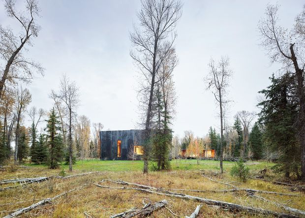 A low, dark-clad modern house is set within a sparsely wooded landscape. Tall deciduous and evergreen trees surround the building, with warm amber light visible through its windows. The foreground is natural and lightly disturbed woodland with fallen branches and dry grass under an overcast sky.