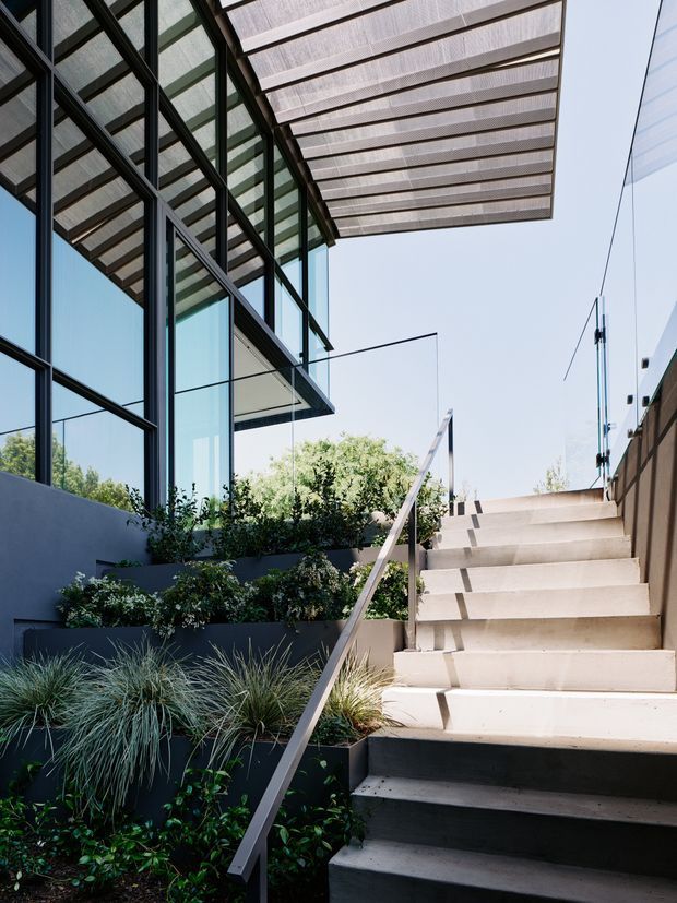 A contemporary exterior stairway beside a glazed building facade. Broad concrete steps rise alongside dark-framed floor-to-ceiling glazing, with a slim metal handrail, planted garden beds, and a translucent slatted canopy projecting overhead. The scene is bright and architectural, with strong linear geometry and integrated landscaping.