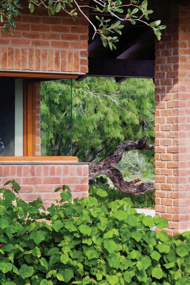 A close architectural view of a red brick building facade with a large window opening and warm timber-framed glazing. Dark exposed timber structure is visible beneath the upper brickwork, while dense greenery and a mature tree are seen through the opening. The image emphasizes the relationship between brick construction, timber detailing, glazing, and planted surroundings.