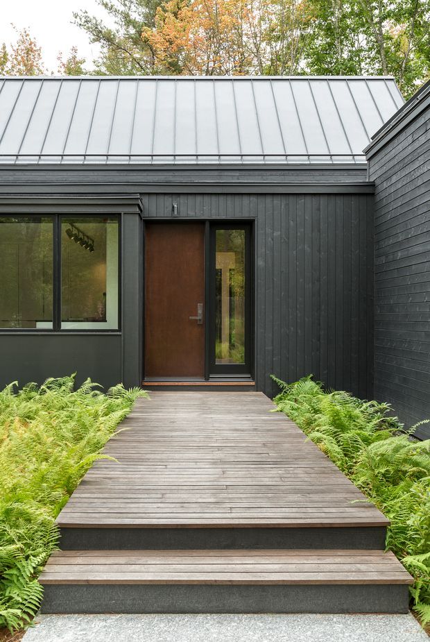 Exterior view of a dark-clad contemporary house entry. A straight timber boardwalk with two broad steps leads through ferns to a timber front door, flanked by dark-framed glazing. The facade has vertical dark cladding, a standing-seam metal roof, and a simple low-profile form, set among mature trees and lush planting.