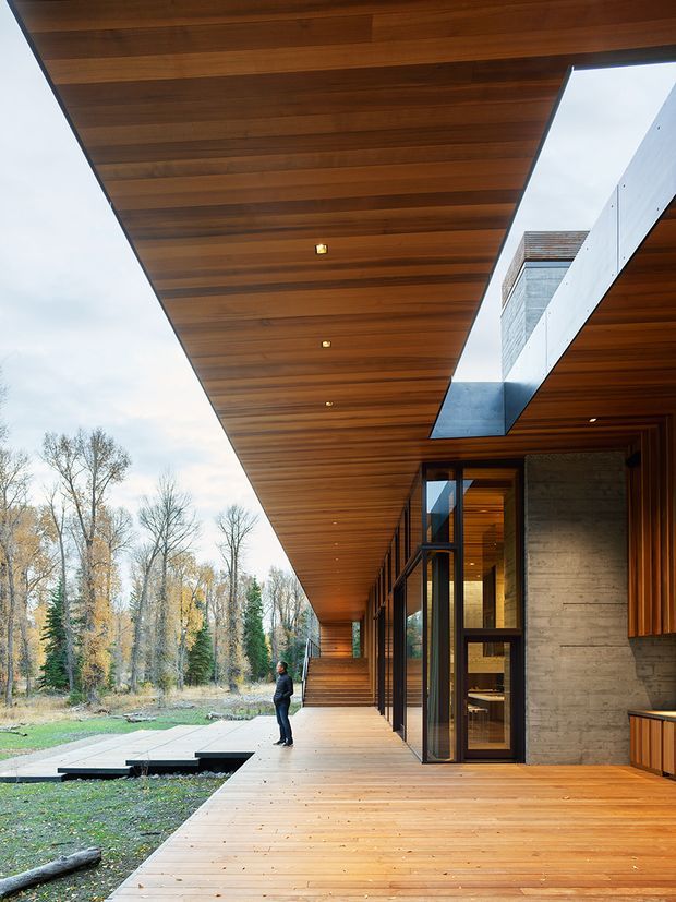 Contemporary single-storey architectural residence viewed from a covered timber deck and outdoor walkway. The image highlights a deep cantilevered timber soffit with recessed lights, warm timber decking and wall cladding, extensive dark-framed glazing, and a contrasting exposed concrete feature wall. A landscaped wooded setting is visible beyond the terrace, with an open roof cut-out bringing daylight into the covered area.