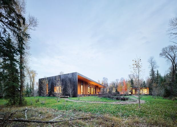 A low, contemporary pavilion-style house set within a wooded landscaped site. The building has a dark, almost black rectangular facade, a strongly projecting flat roof, and a warm timber-lined recessed glazed elevation opening toward the garden. Tall vertical glazing and timber columns create a sheltered veranda-like edge, while the surrounding mature trees and open lawn frame the architecture.