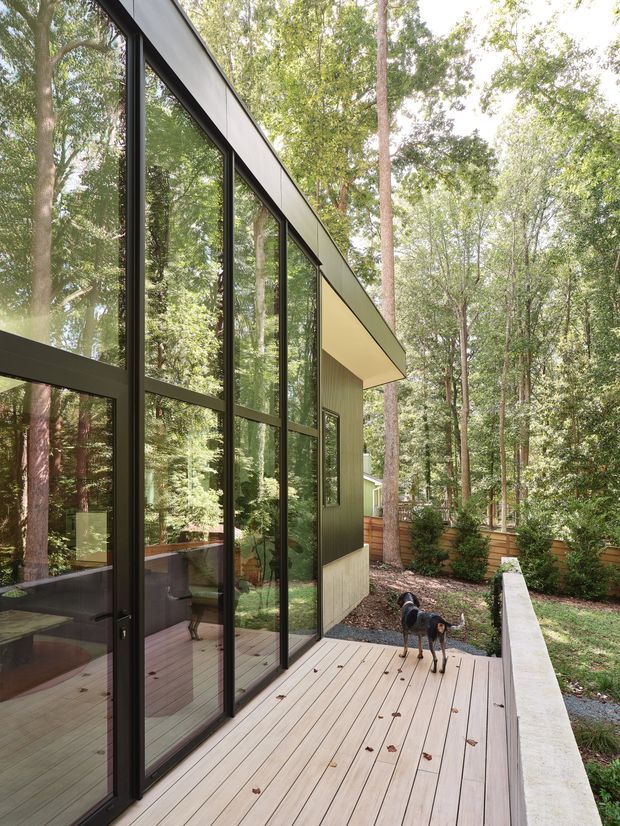 Exterior view of a contemporary, pavilion-like home set within a wooded landscape. A tall wall of black-framed floor-to-ceiling glazing reflects and reveals the interior, while dark metal cladding and a broad projecting roof edge create a clean modern facade. A timber deck runs alongside the glazing, bordered by a low pale concrete wall, with planted garden beds and fencing beyond.