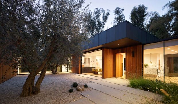 A contemporary single-storey residence viewed from a landscaped courtyard at dusk. The home features a projecting dark metal-clad flat roof, warm vertical timber wall cladding around the recessed entry, extensive floor-to-ceiling glazing, and illuminated open-plan interiors. A gravel courtyard with established trees, low grasses, stones, and concrete stepping paths forms the foreground.