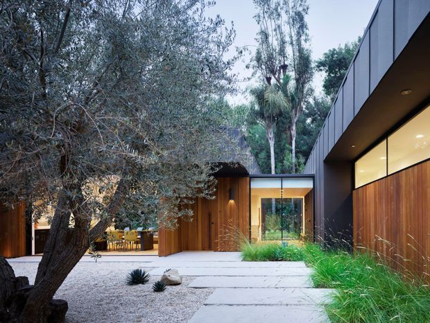A modern single-storey residence arranged around a landscaped courtyard. The view shows clean-lined dark metal and warm vertical timber-clad façades, expansive glazing, recessed exterior lighting, and a pale paved path through gravel landscaping. Mature trees, ornamental grasses, and sculptural plantings soften the minimalist architecture.