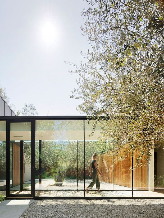 A bright contemporary glass-walled pavilion or extension opening onto a gravel and paved courtyard. Slim black-framed floor-to-ceiling glazing creates a transparent facade, with warm timber screening along the right side and mature trees surrounding the space. A person is visible through the glazing, and the interior appears minimal and lightly furnished.